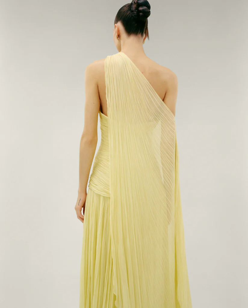 STRAPLESS PLEATED SILK GEORGETE DRESS WITH PLEATED CAPE - Image 3